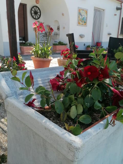 Il Casale del Generale affittacamere Bed and Breakfast in Agerola