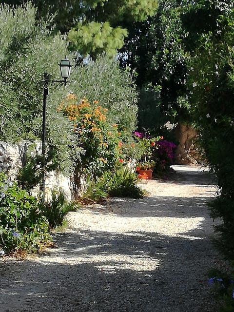 Day, Summer, On site
