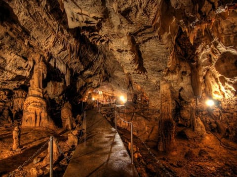 Spring, Off site, Day, Night, Winter, Summer, Autumn, Sunrise, Sunset