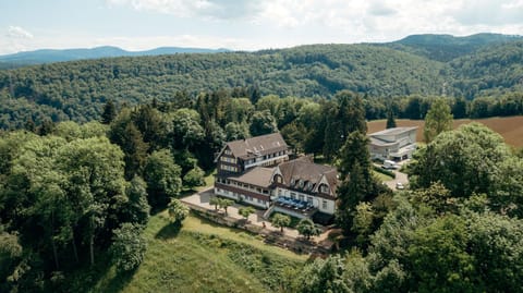 Natural landscape, Bird's eye view, On site