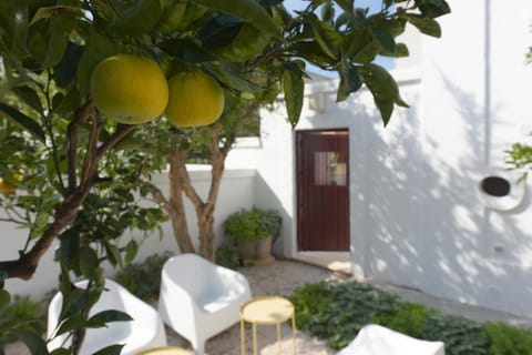 Patio, Facade/entrance, Garden