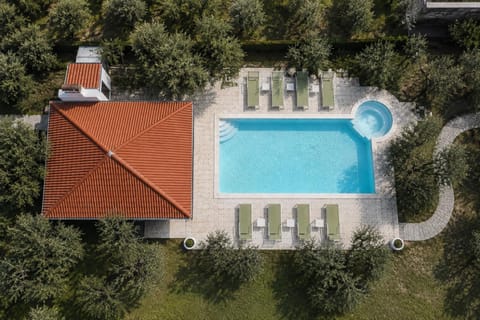 Bird's eye view, Pool view, Swimming pool