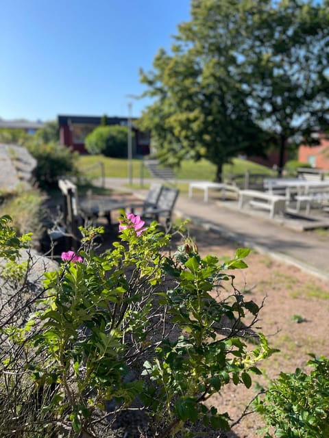 Garden, Garden view