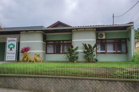 Day, Garden, Garden view