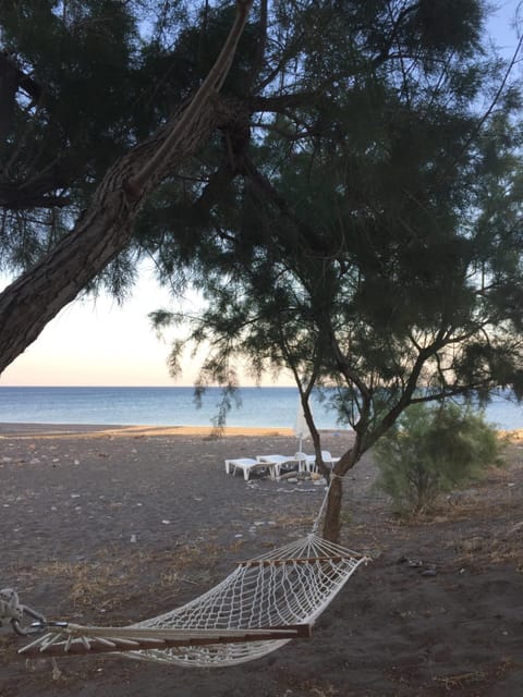 Beach, On site