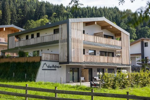 Property building, Spring, Bird's eye view, Summer, Autumn