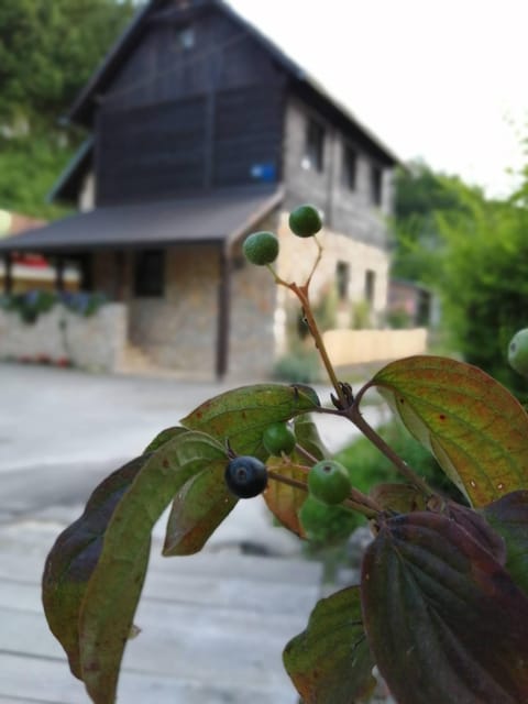 House Marijan Apartment in Plitvice Lakes Park