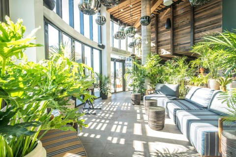 Balcony/Terrace, Lounge or bar, Seating area