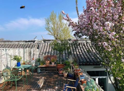 Restaurant/places to eat, Spring, Day, Garden, Garden, View (from property/room), Balcony/Terrace, Balcony/Terrace, Garden view