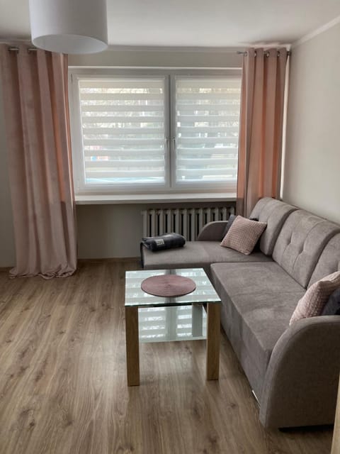 Mieszkanie Apartment in Lithuania