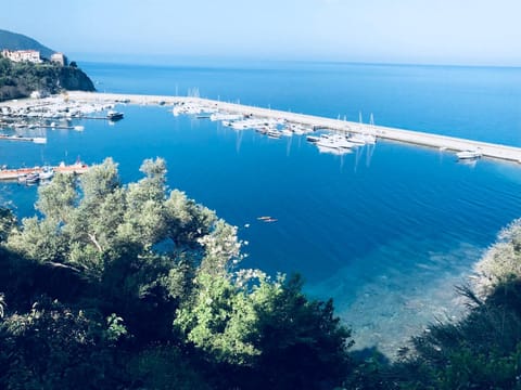 B&B Quasi in centro Bed and Breakfast in Agropoli