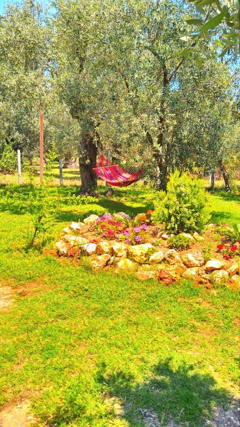 Natural landscape, Garden