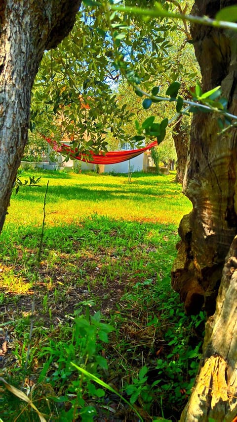 Natural landscape, Garden