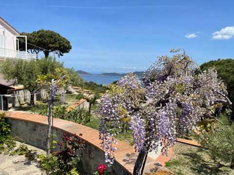 View (from property/room), Inner courtyard view