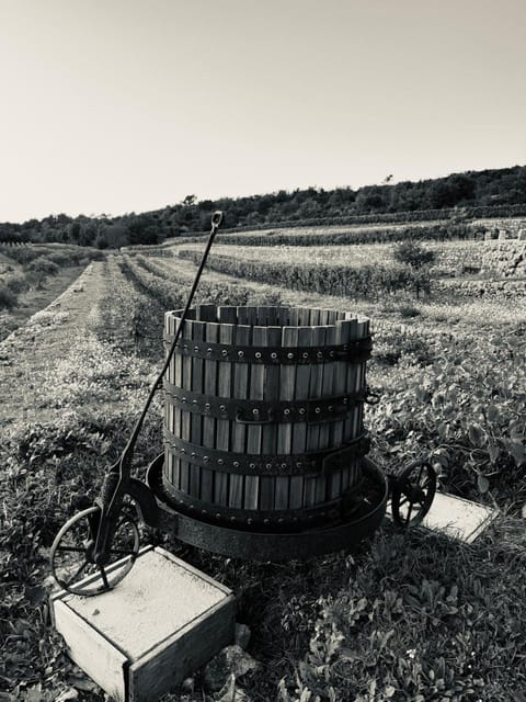 Gîte De La Guerine Apartment in Brignoles
