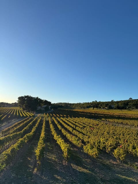 Gîte De La Guerine Apartment in Brignoles