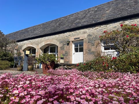 Property building, Patio, Spring