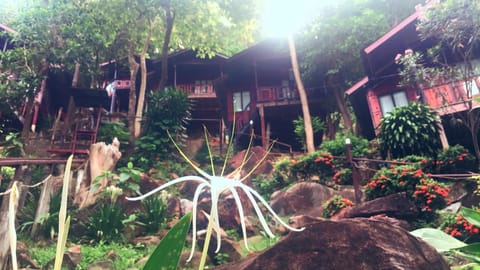 Patio, Facade/entrance, Garden