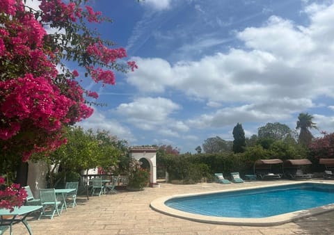 Day, Natural landscape, Garden, Garden view, Pool view, Swimming pool, sunbed
