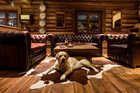 Lounge or bar, Pets, Pets