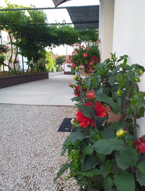 Apartments Jeličić Apartment in Biograd na Moru