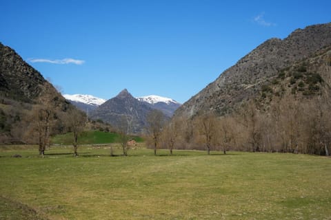 Natural landscape