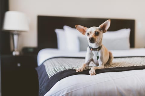 Hotel Rialto Hotel in Victoria