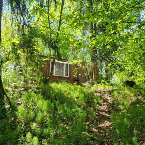 Property building, Day, Natural landscape, Garden