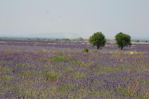 Natural landscape, Hiking