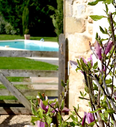 Garden, Swimming pool