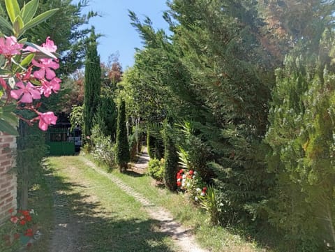 Arti Vila House in Ksamil