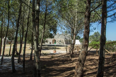 Property building, Garden, Other, Decorative detail, Hiking, Landmark view, Family