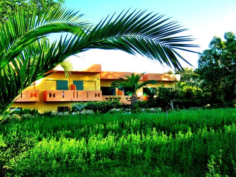 Property building, Day