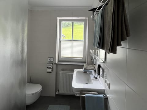 Toilet, Bathroom, towels