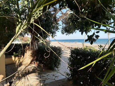 Natural landscape, Garden, Beach, Sea view