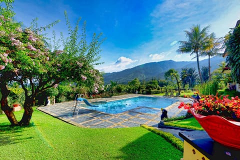 Garden, Swimming pool