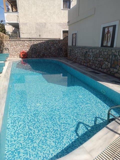 Day, Pool view, Swimming pool, sunbed
