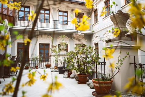 Garden, Balcony/Terrace