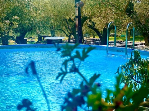 Borgo Medievale di Poggio Alla Pieve Relais, Food & Art Farm Stay in Emilia-Romagna