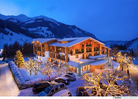 Property building, Nearby landmark, Facade/entrance, Off site, Night, Natural landscape, Bird's eye view, Winter, Mountain view