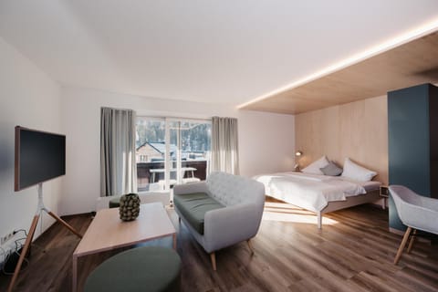 Photo of the whole room