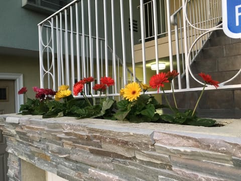 Property building, Other