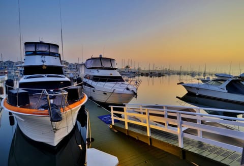 Activities, Beach, Area and facilities, Entertainment