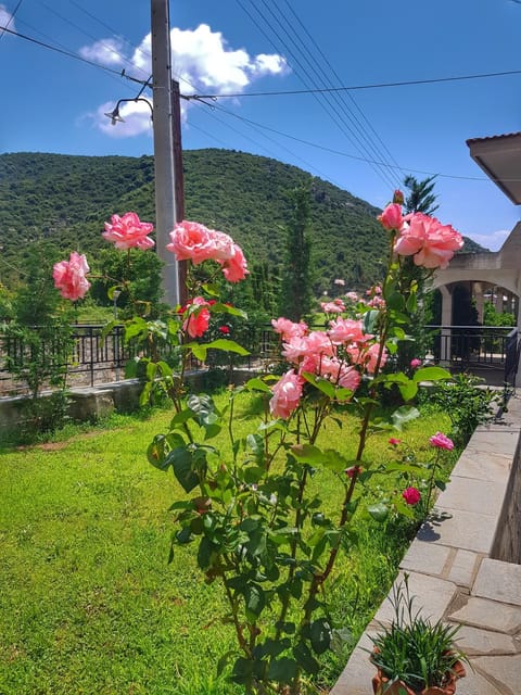 Stavrini's House House in Decentralized Administration of Macedonia and Thrace