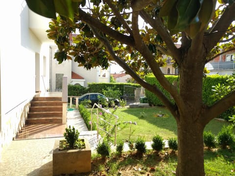 Facade/entrance, Garden