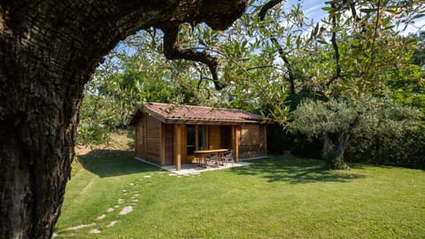 Au Pays de Cocagne House in Provence-Alpes-Côte d'Azur