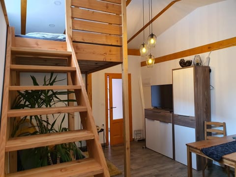 Apartmaji Daniel Apartment in Friuli-Venezia Giulia