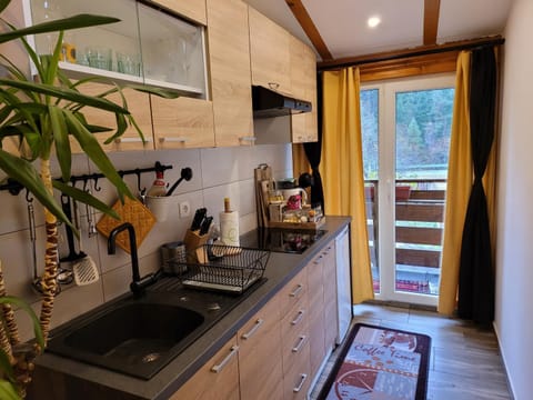 Apartmaji Daniel Apartment in Friuli-Venezia Giulia