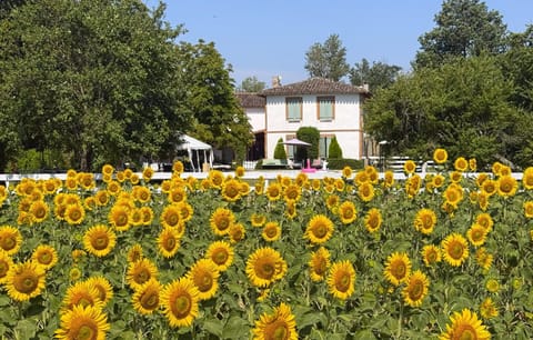 Property building, Garden, Garden view