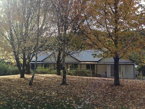 Property building, Garden, Garden view